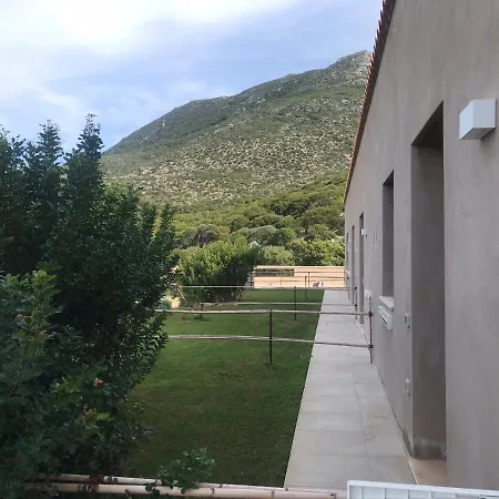 Alelca Domo Буджерру