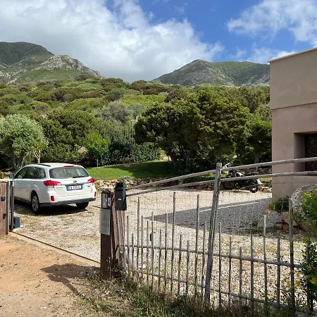 Alelca Domo 4* Буджерру