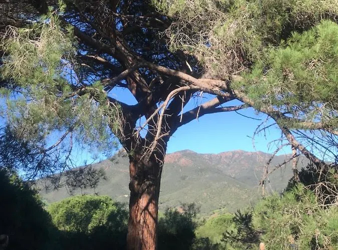 Alelca Domo Buggerru