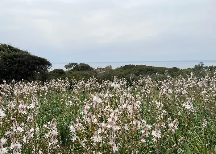Alelca Domo Nocleg ze śniadaniem