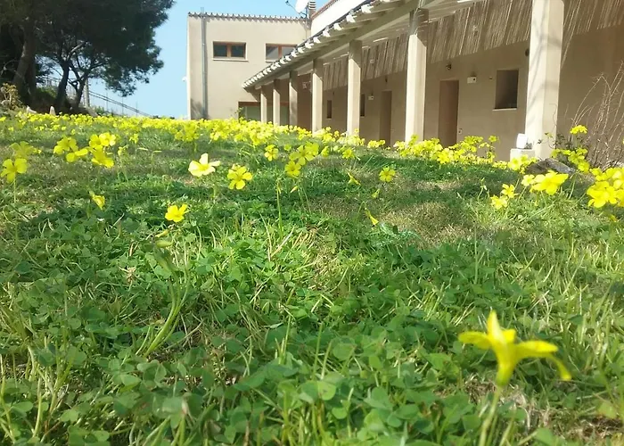 Alelca Domo 4* Buggerru