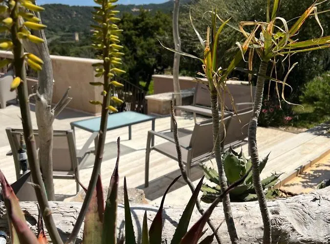 Nocleg ze śniadaniem Alelca Domo 4*