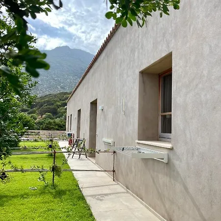Alelca Domo