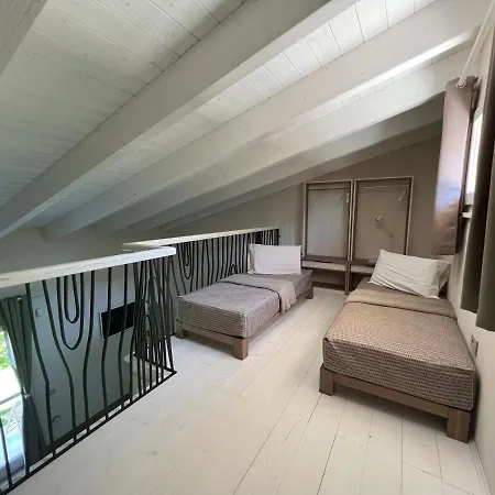 Alelca Domo 4*