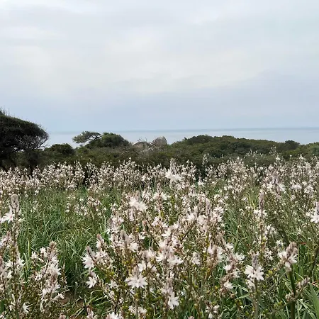 Alelca Domo Frühstückspension