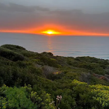 Alelca Domo Buggerru