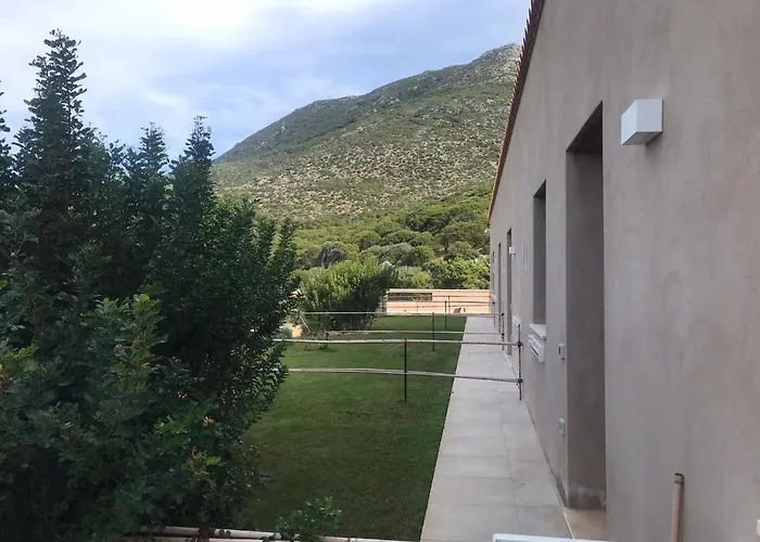 Alelca Domo 布杰鲁