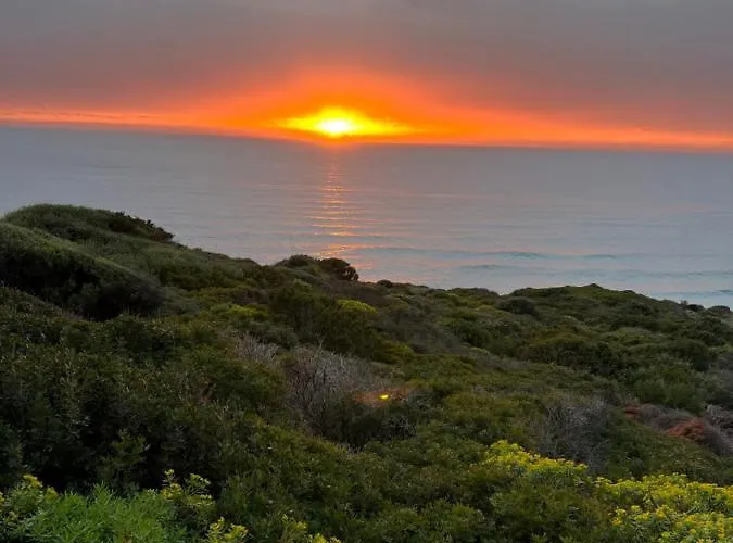 Alelca Domo Buggerru