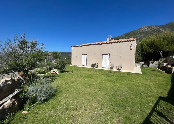 Alelca Domo 住宿加早餐酒店 布杰鲁